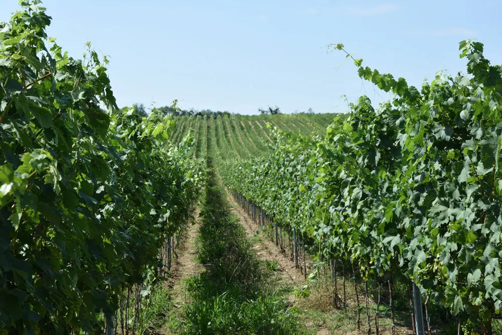 HUMAC® Agro 25 kg - HUMAC.sk
