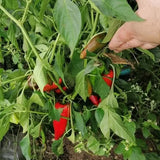 HUMAC® Agro 25 kg - HUMAC.sk