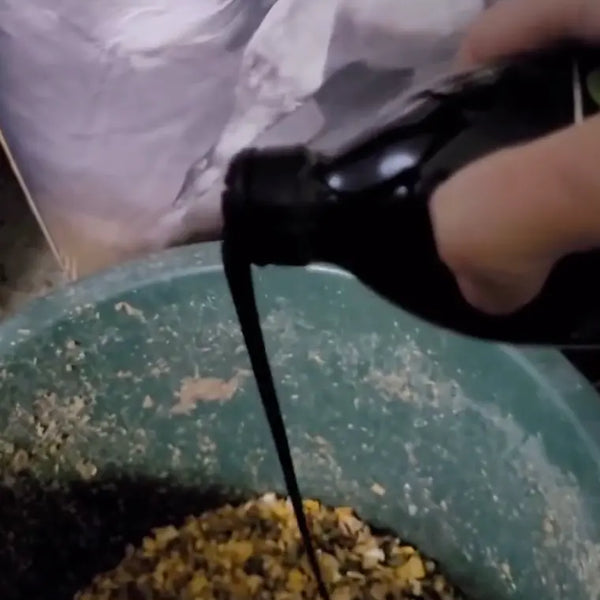 Pouring natural liquid supplement into horse feed