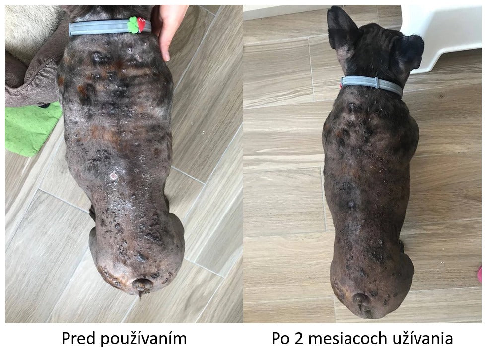 Balíček prvej pomoci