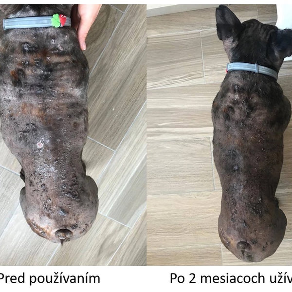 Balíček prvej pomoci