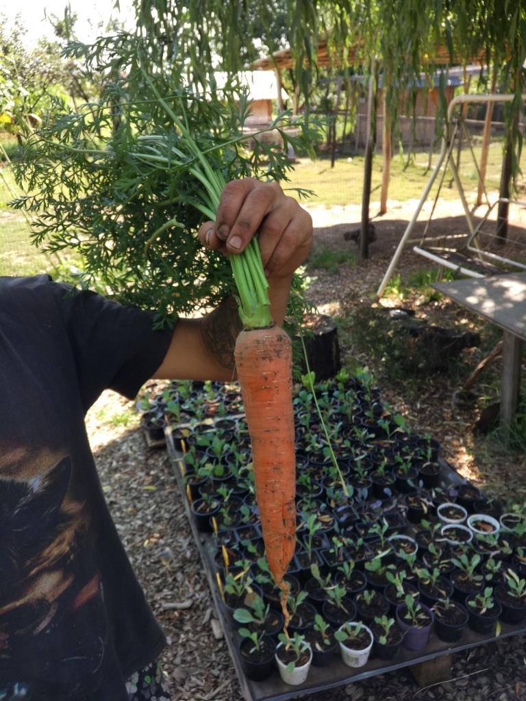 HUMAC® Agro