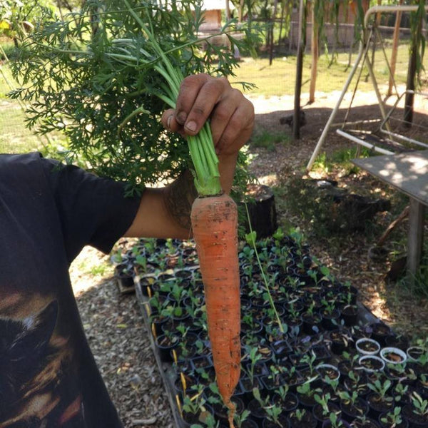 HUMAC® Agro