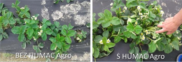 HUMAC® Agro 25 kg