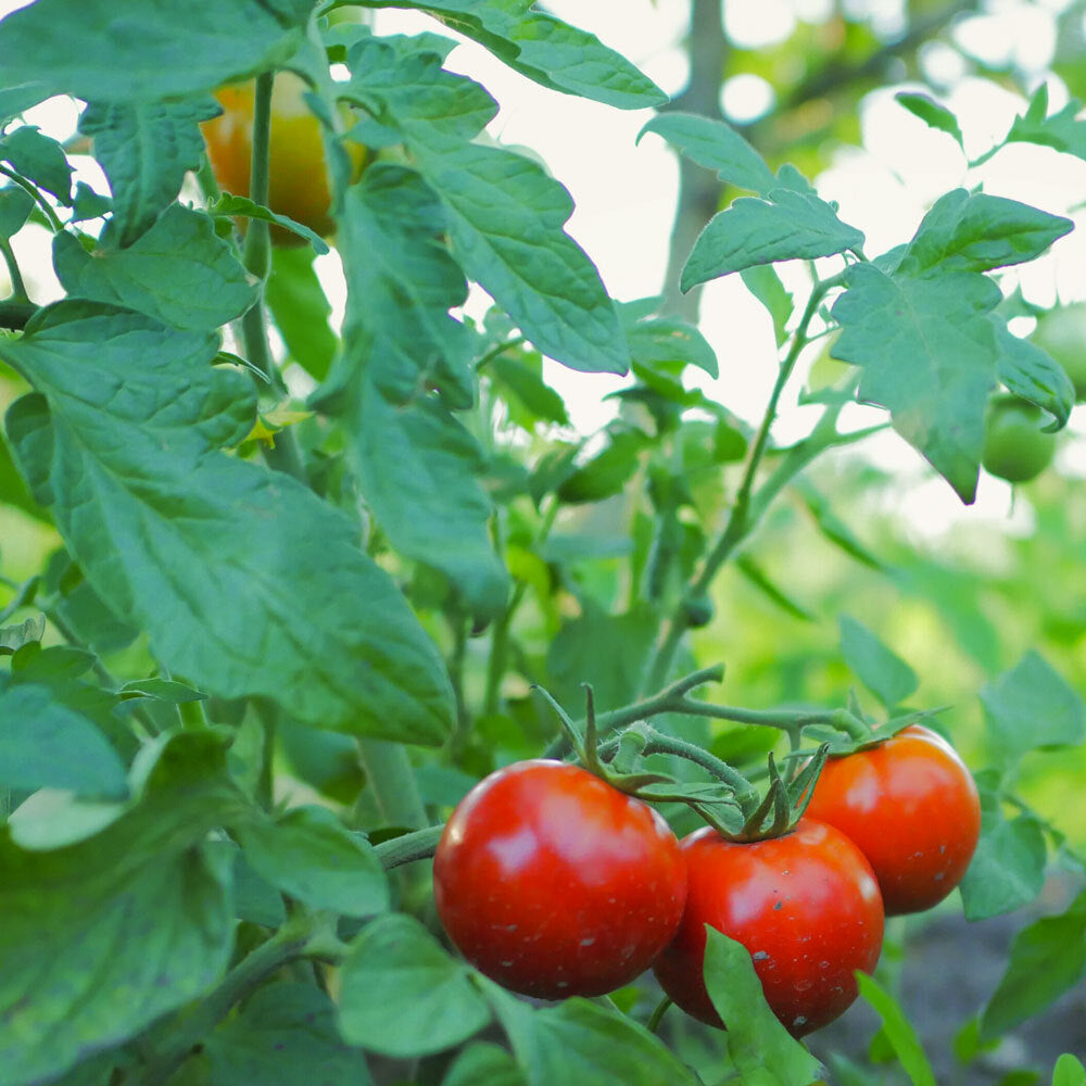 HUMAC® Agro HUMAC.sk